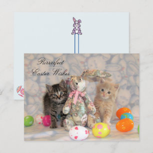 Patton & Buffington Easter Cat Holiday Postcard