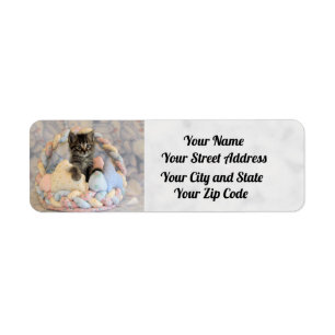 Patton's Easter  Address Labels - Cat / Kitten