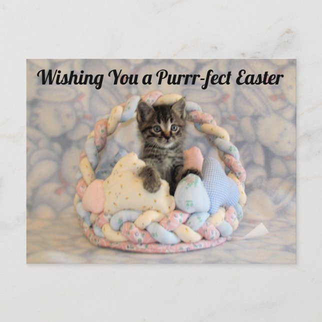 Patton's Easter Basket - Postcard (Front)