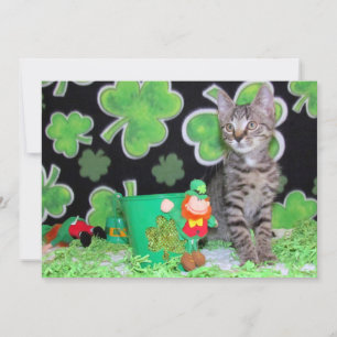 Patton's St. Patrick's Day Cat/ Kitten -Flat Card