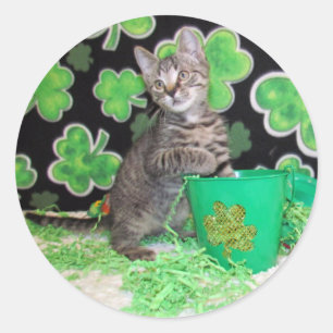 Patton's St. Patrick's Day Chat / Stickers Kitten