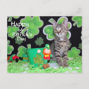 Patton's St. Patrick's Day Postcard - Cat / Kitten
