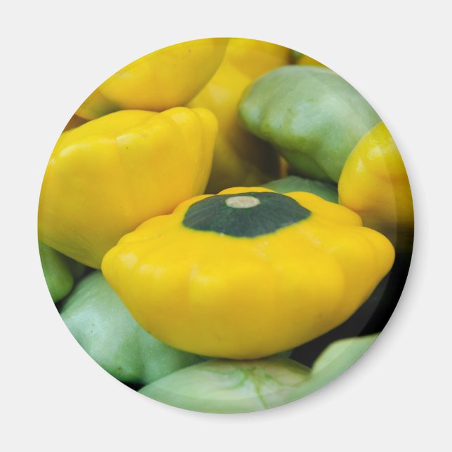 Pattypan Squash Magnet (Front)
