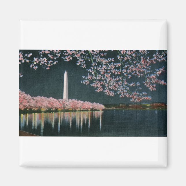 PAU42 Washington at Night.tif Magnet (Front)