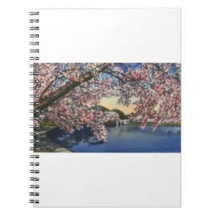 PAU43 Tidal Basin.tif Notebook