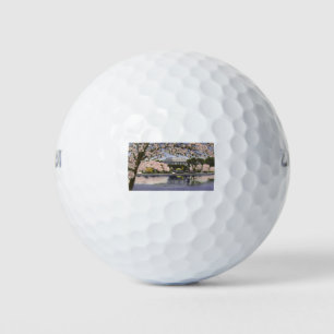 PAU44 Lincoln Memorial.tif Golf Balls