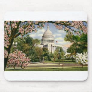 PAU46 US Capitol.tif Mouse Pad