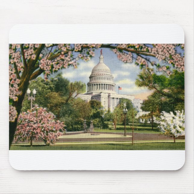PAU46 US Capitol.tif Mouse Pad (Front)