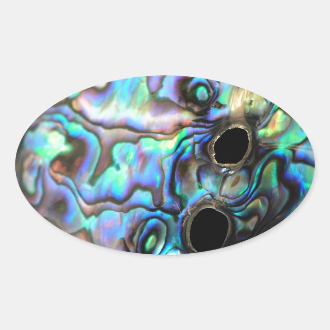 Paua abalone blue and green shell detail oval sticker (Front)
