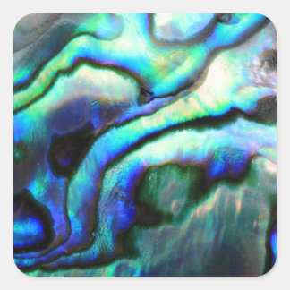 Paua abalone detail square sticker