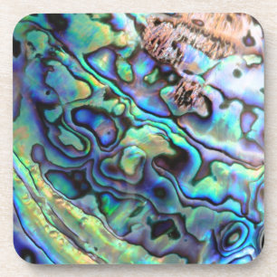 Paua abalone shell detail coaster