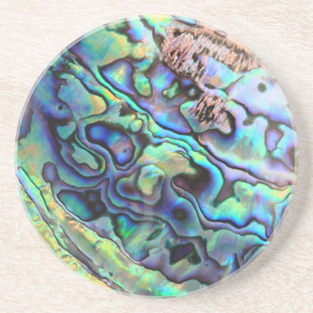 Paua abalone shell detail coaster (Front)