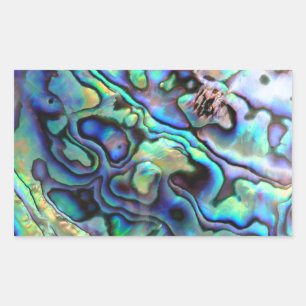 Paua abalone shell detail sticker