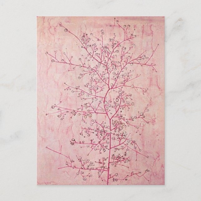 Paul Klee - Carte postale Printemps rose en plein  (Devant)