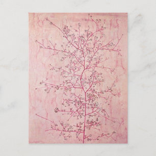 Paul Klee - Pink Spring in Deep Winter Postcard