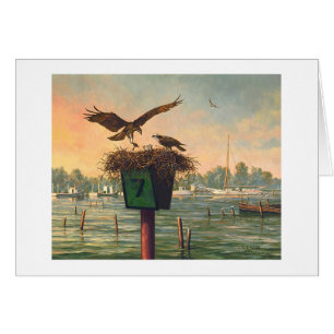 Paul McGehee "dimanche matin" carte