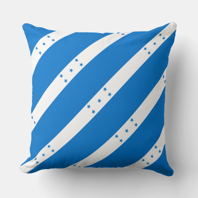 Paul McGehee "Honduras Flag" Pillow (Front)