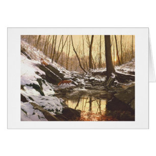 Paul McGehee "Red Fox Creek" Card