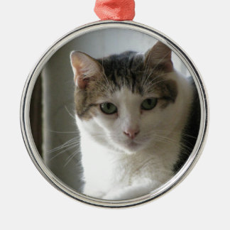Paul Metal Ornament