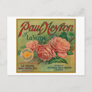 Paul Neyron of La Verne Orange Label Postcard