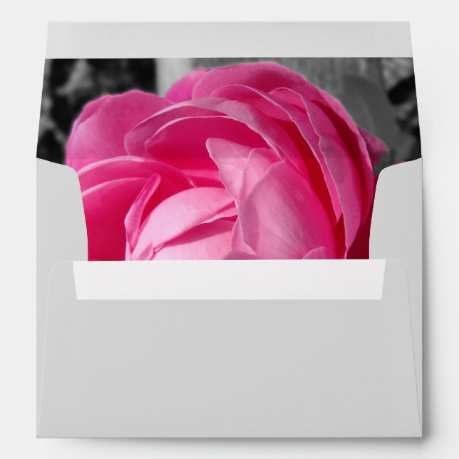 Paul Neyron Pink Heritage Rose Envelope (Back (Bottom))