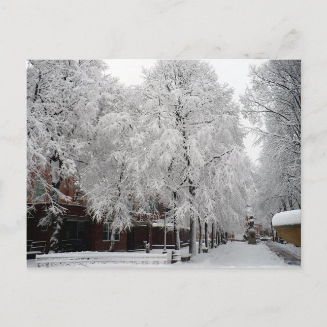 Paul Revere Mall Trees covered in Winter Snow Postcard (Front)