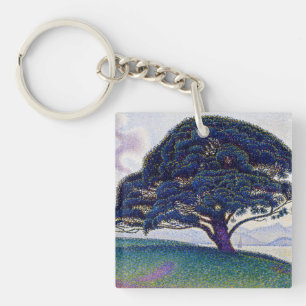 Paul Signac - Le pin Bonaventure