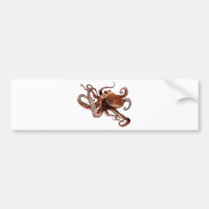 Paul The Octopus Bumper Sticker