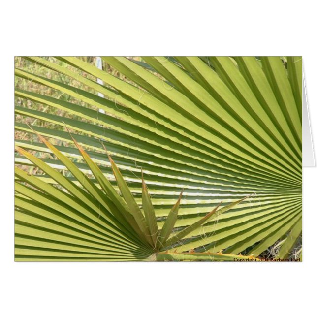 Paumes de fan (Devant horizontal)