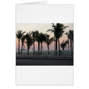 Paumes pourpres roses