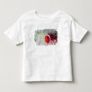 Paupau New Guinea, Great Barrier Reef, Toddler T-shirt