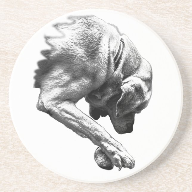 Pause Before Play Coaster (Front)