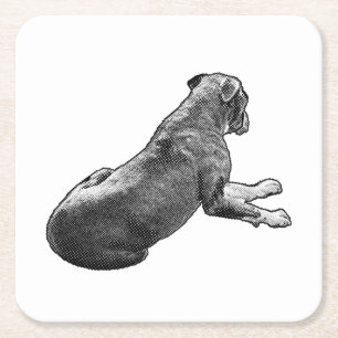 Pause Beside A Gaze Square Paper Coaster