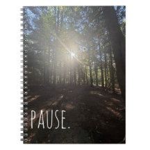 Pause Cahier Sentier de la forêt ensoleillée