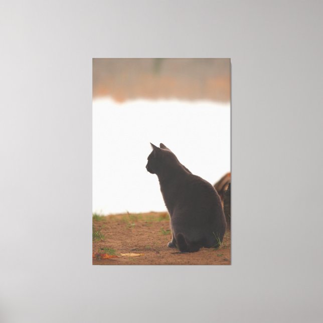 Pause Canvas Print (Front)