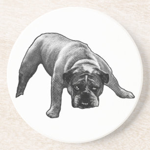 Pause Under Watchful Eyes Coaster