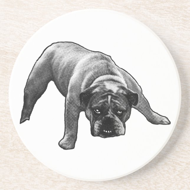 Pause Under Watchful Eyes Coaster (Front)