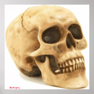 Pauvre Yorick Affiche