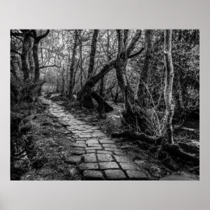 Paved Along the Riverbank Poster