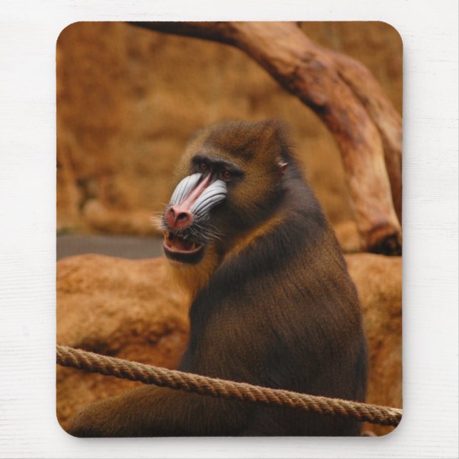 Pavian/Baboon Mouse Pad (Front)