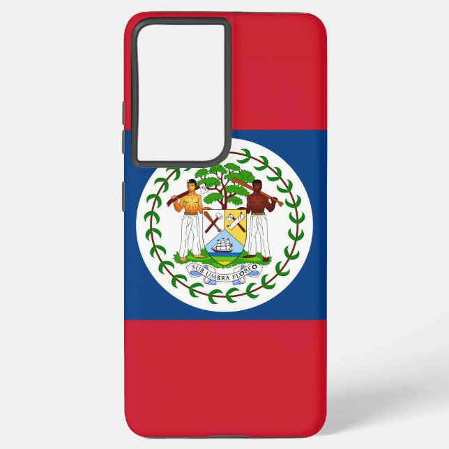 Pavillon Coque Samsung Galaxy S21 Plus du Belize (Verso)