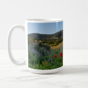 Pavot dans la Mug de la Vallée