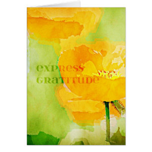 Pavot exprès d'orange de gratitude