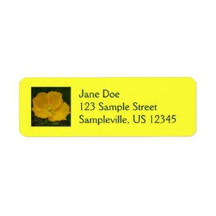 Pavot jaune Fleur sauvage de l'Alaska Floral