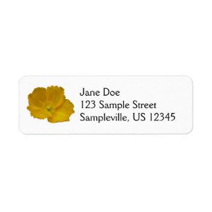 Pavot jaune Fleur sauvage de l'Alaska Floral