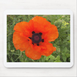 pavot mouse pad
