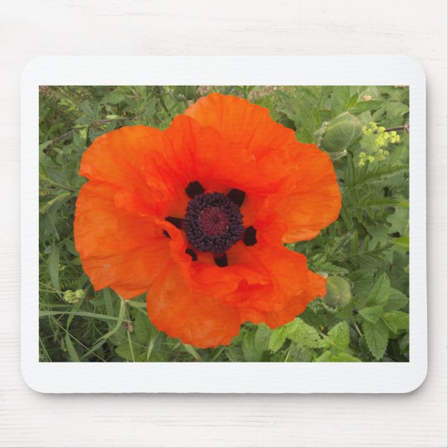 pavot mouse pad (Front)