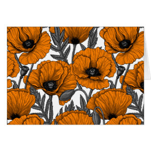 Pavot orange sur blanc