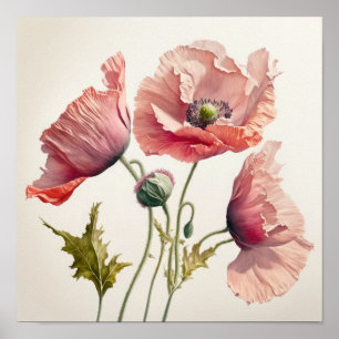 Pavot rose Fleurs Art Imprimer Poster