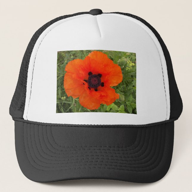 pavot trucker hat (Front)